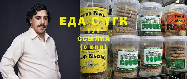 индика Беслан