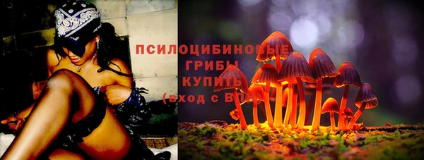 гидропоника Абаза